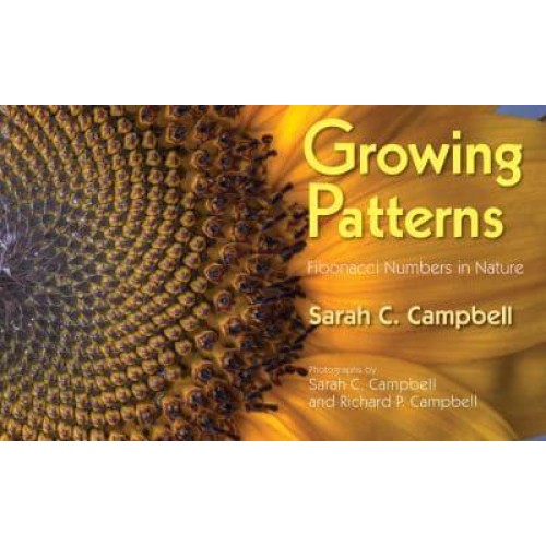 Growing Patterns Fibonacci Numbers in Nature