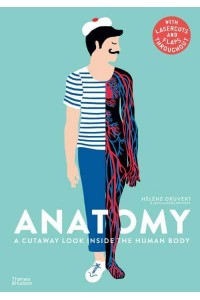 Anatomy A Cutaway Look Inside the Human Body