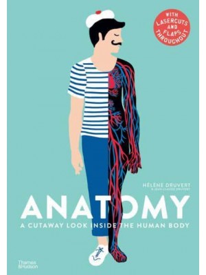 Anatomy A Cutaway Look Inside the Human Body