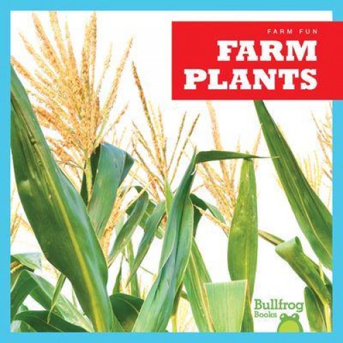 Farm Plants - Farm Fun