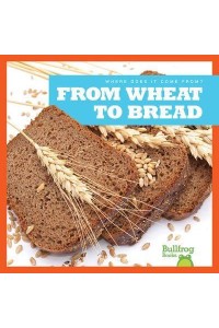 From Wheat to Bread - Where Does It Come From?