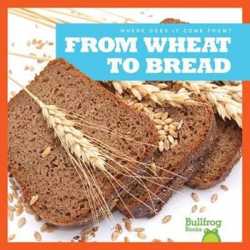 From Wheat to Bread - Where Does It Come From?