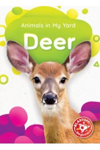 Deer - Animals in My Yard