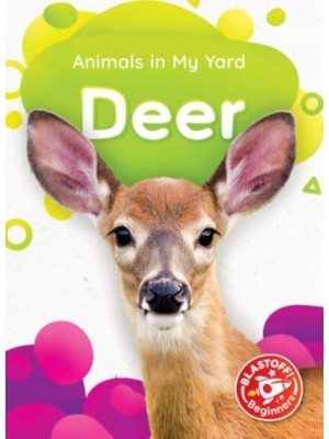 Deer - Animals in My Yard