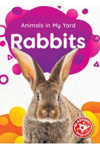 Rabbits - Animals in My Yard