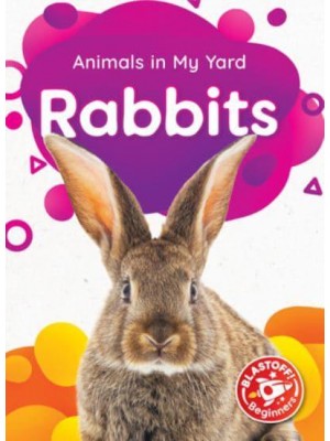 Rabbits - Animals in My Yard