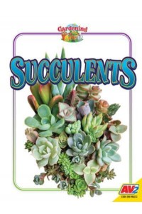 Succulents - Gardening