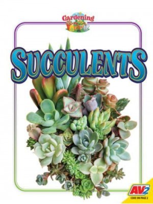 Succulents - Gardening