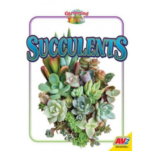 Succulents - Gardening