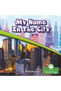 My Home in the City - In My Community