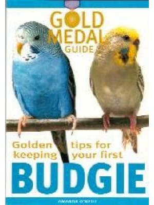 Golden Tips for Keeping Your First Budgie - Gold Medal Guide