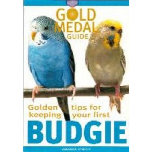 Golden Tips for Keeping Your First Budgie - Gold Medal Guide