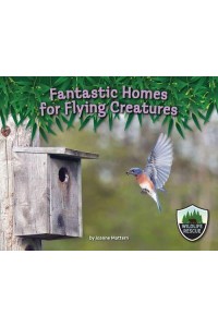 Fantastic Homes for Flying Creatures - Wildlife Rescue