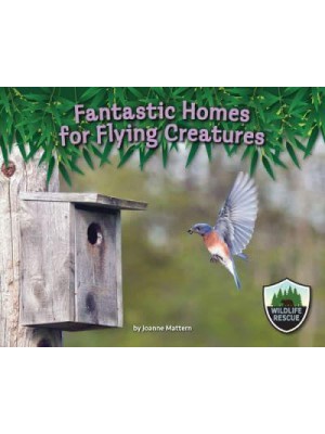 Fantastic Homes for Flying Creatures - Wildlife Rescue