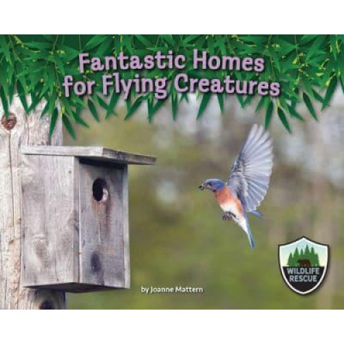 Fantastic Homes for Flying Creatures - Wildlife Rescue