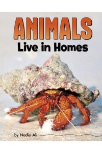 Animals Live in Homes - Animal Societies