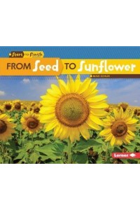 From Seed to Sunflower - Start to Finish, Second