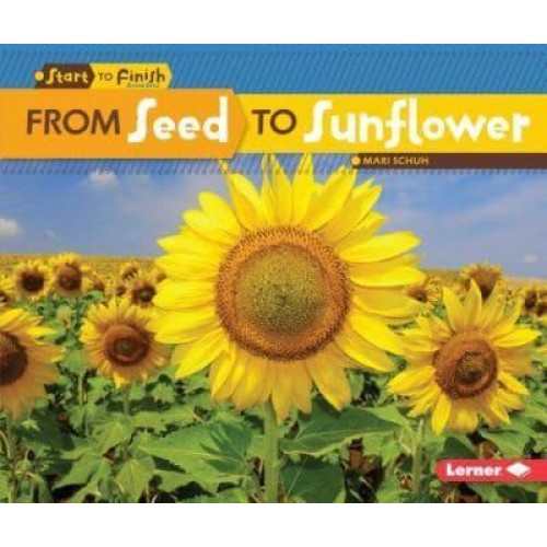 From Seed to Sunflower - Start to Finish, Second