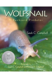 Wolfsnail A Backyard Predator