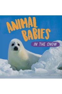 Animal Babies in the Snow - Animal Babies