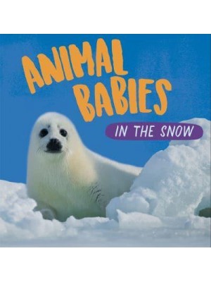 Animal Babies in the Snow - Animal Babies