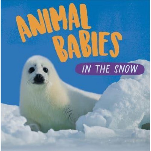 Animal Babies in the Snow - Animal Babies