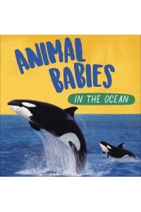 Animal Babies in the Ocean - Animal Babies