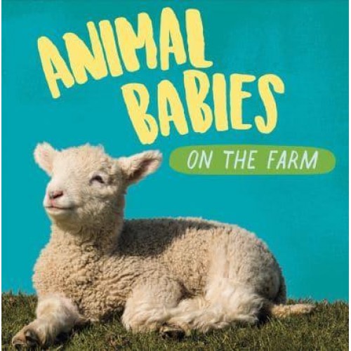 Animal Babies on the Farm - Animal Babies