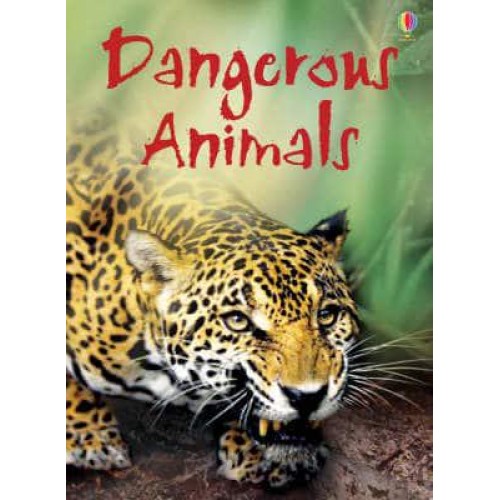 Dangerous Animals - Usborne Beginners : Information for Young Readers.