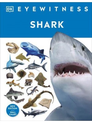 Shark - Eyewitness