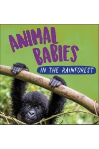 Animal Babies in the Rainforest - Animal Babies