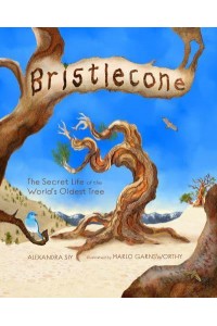 Bristlecone The Secret Life of the World's Oldest Tree