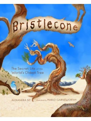 Bristlecone The Secret Life of the World's Oldest Tree