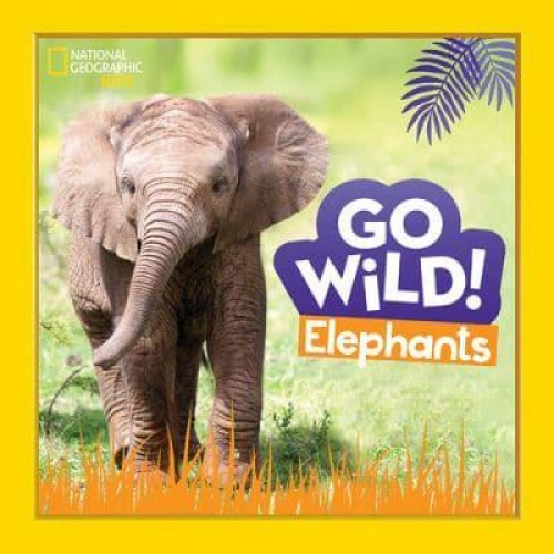 Elephants - Go Wild!