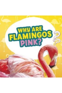 Why Are Flamingos Pink? - Amazing Animal Q&As