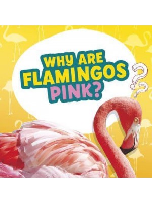 Why Are Flamingos Pink? - Amazing Animal Q&As