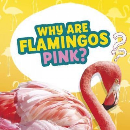 Why Are Flamingos Pink? - Amazing Animal Q&As