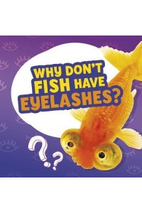 Why Don't Fish Have Eyelashes? - Amazing Animal Q&As