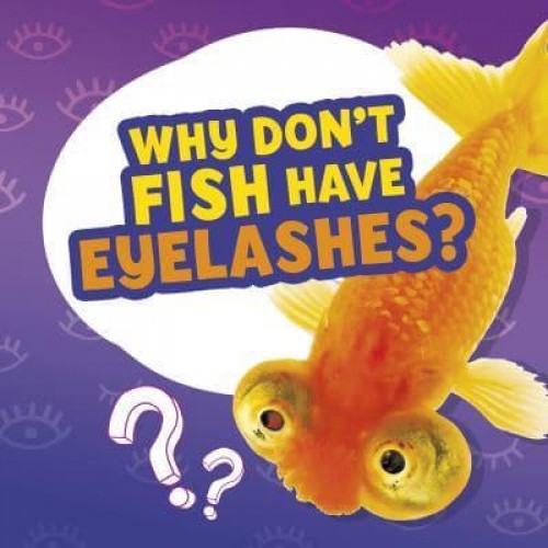 Why Don't Fish Have Eyelashes? - Amazing Animal Q&As