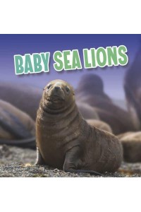 Baby Sea Lions - Baby Animals