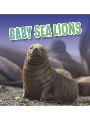 Baby Sea Lions - Baby Animals