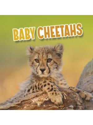 Baby Cheetahs - Baby Animals