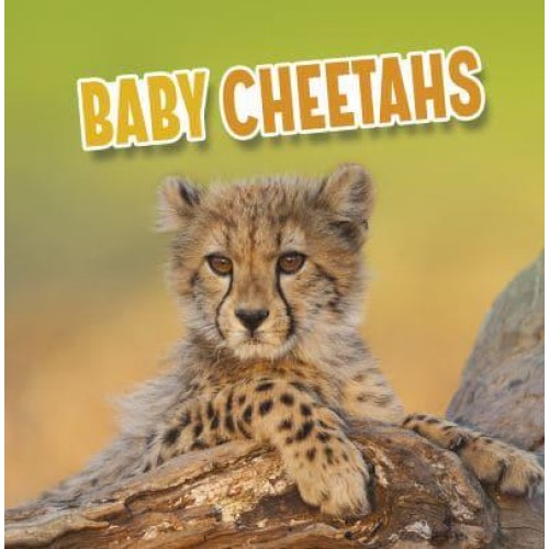 Baby Cheetahs - Baby Animals