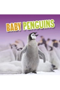 Baby Penguins - Baby Animals
