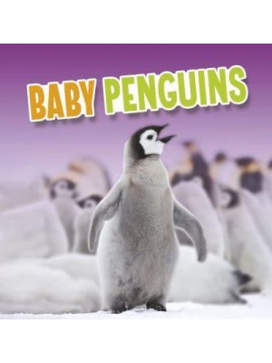 Baby Penguins - Baby Animals