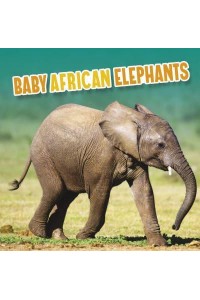 Baby African Elephants - Baby Animals