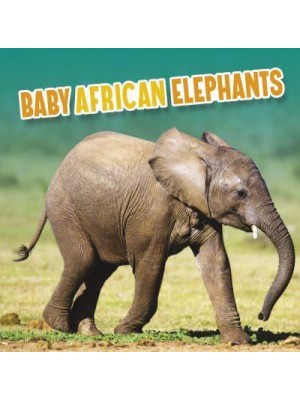Baby African Elephants - Baby Animals