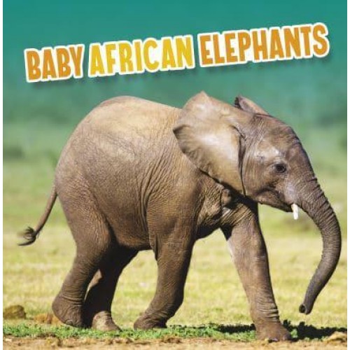 Baby African Elephants - Baby Animals