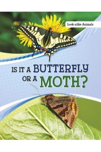 Is It a Butterfly or a Moth? - Look-Alike Animals