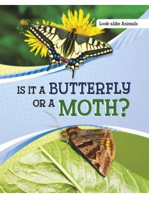 Is It a Butterfly or a Moth? - Look-Alike Animals
